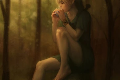 Link Ocarina Of Time The Legend Of Zelda Fan Art 2000x2759 ...