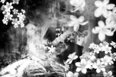 Black And White Photo Backgrounds   Wallpapers Zone