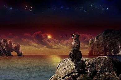 Fantasy Wallpapers Pack Download   Fantasy Wallpapers Pack 1.1 ...