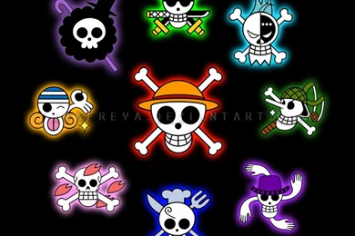 One Piece Flag