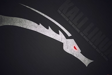 HD Wallpaper: Durga Maa Hd Wallpapers, Kali Wallpapers Hd JohnyWheels