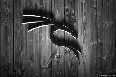 Kali Linux Wallpapers By Satanic Surfer On DeviantArt