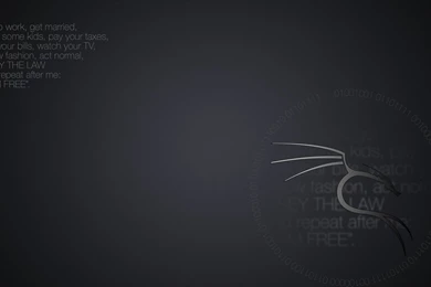 Kali Linux, Kali Wallpapers Linux   JohnyWheels