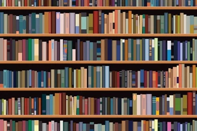 Library Wall Mural Ideas   Wallpapers Mural Ideas   17223