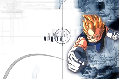 Vegeta Wallpapers   Wallpapers Cave