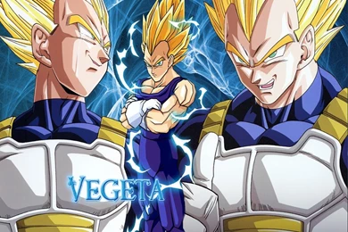 Wallpapers Destined Duel Dragon Ball Z Vegeta 1024x768