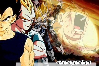 Dragon Ball Z Vegeta   Wallpaper.