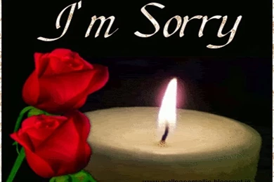 Wallpapers Gallery: I Am Sorry Wallpapers