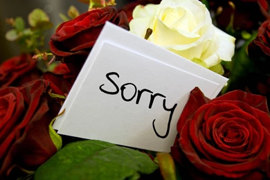 I Am Sorry Wallpapers – Daily Backgrounds In HD