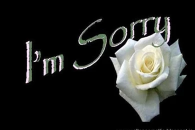 Wallpapers Gallery: I Am Sorry Wallpapers