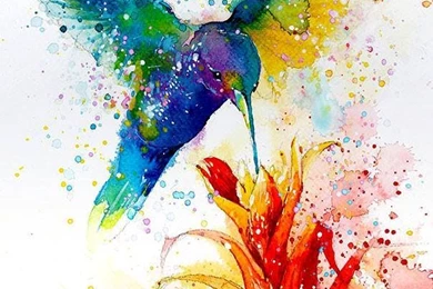 Beautiful Watercolor Wallpapers   Imgur