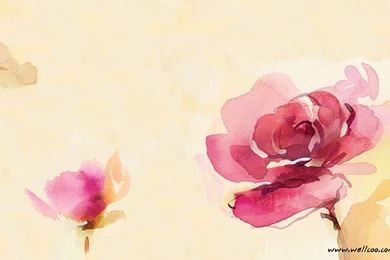 Google Image Result For Http://www.wallcoo.net/flower ...