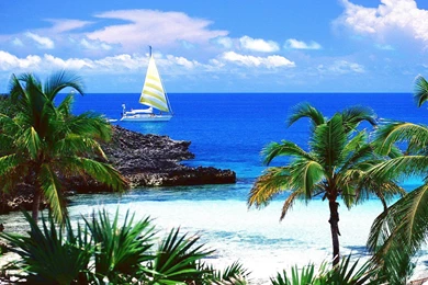 Free Desktop Wallpapers Widescreen G38   Pockted.com