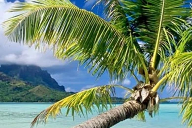 Beach Wallpapers For Chat   Android Apps On Google Play