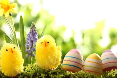 Easter Egg Wallpapers   Android Apps On Google Play