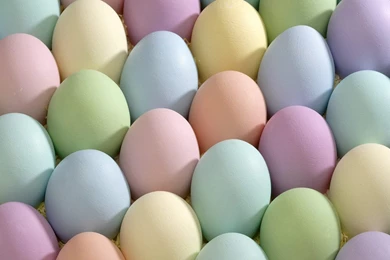 Dozen Easter Eggs   Wallpaper.