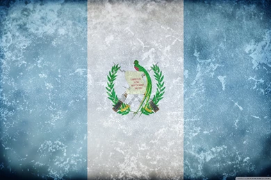 Download Grunge Flag Of Guatemala Wallpapers   Wallpapers Printed