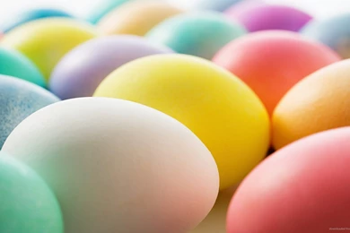 Download 1920x1080 Many Easter Eggs Wallpapers