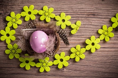 Easter Egg Feathers Flowers Mood HD Wallpapers   FreeWallsUp