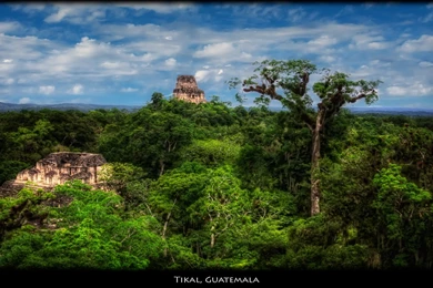 Tikal Guatemala Related Keywords & Suggestions   Tikal Guatemala ...