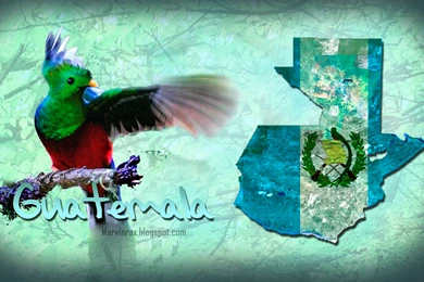 Que Les Parece El Wallpapers   Taringa!