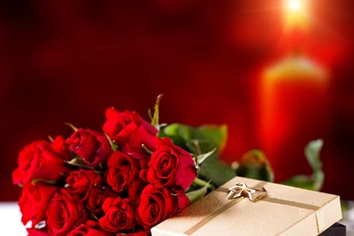 Happy birthday wallpaper with red rose 11 – Best Web For Quotes ...