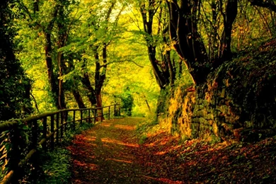 Desktop Landscape Backgrounds