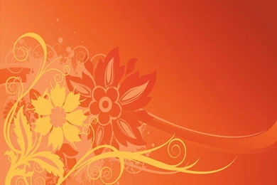 C.O.E.D. Chronicles Of Every Diva News