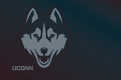Picture For > Uconn Basketball Logo Wallpapers