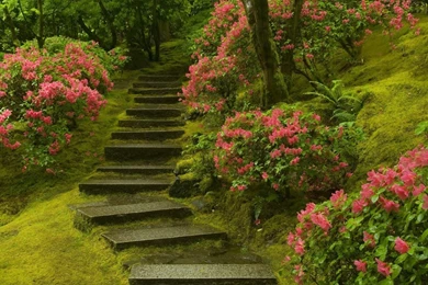 Stair Full HD Unbelievable Wallpapers Free HD Wallpapers   Download ...