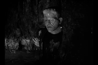 Universal Classic Monsters: The Essential Collection (Blu ray ...