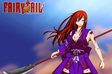 Fairy Tail Erza Scarlet   (