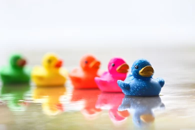 Stop Chasing Me Wallpapers Full HD [3840x2400]   Free Wallpapers ...