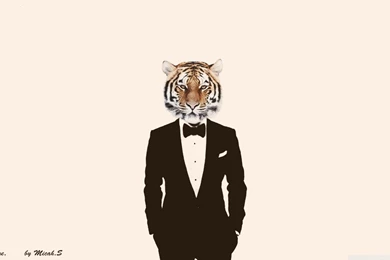 Photo Video Link Gallery Pro