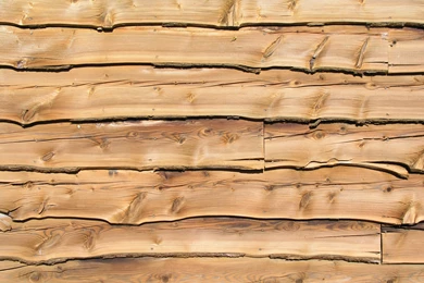 Download Texture: Wood Backgrounds Wallpaper, Download Photo ...