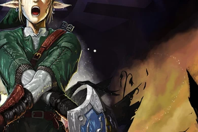 Link The Legend Of Zelda Wallpapers   (