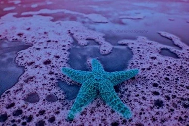 iPhone Wallpapers On Pinterest