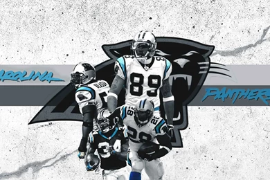 Carolina Panthers Wallpapers