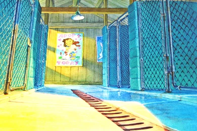 Walt Disney Backgrounds   Lilo & Stitch   Walt Disney Characters ...