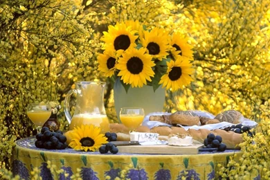 Gardens Wallpaper: Desktop Wallpapers Gallery Nature Summer ...