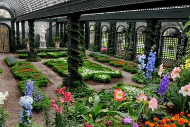 Flowers Garden Lily Roses  free wallpapers hd for desktop