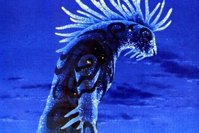 Princess Mononoke: Wallpapers