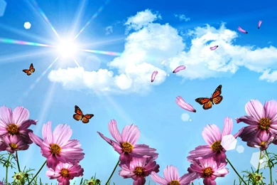 Spring Wallpapers For Desktop ~ Toptenpack.com