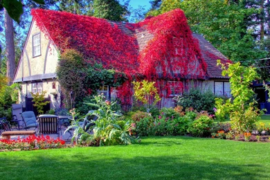 Desktop Spring Wallpapers HD   CuteWallpaper.org