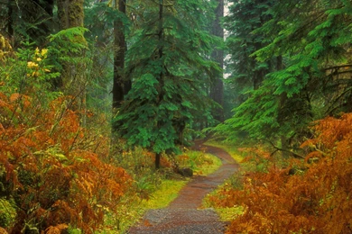 Washington DC Wallpapers For PC