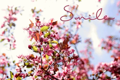 Meet Me On The Balcony