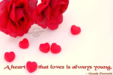 Funny Love Quotes Wallpapers, Funny Quotes Wallpapers, Funny Love ...