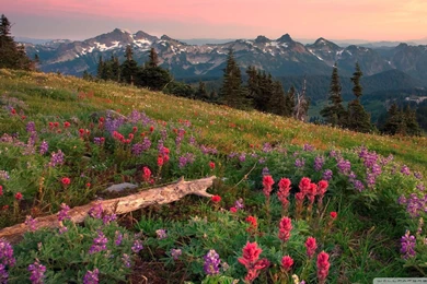 Download Subway Washington Wallpapers 1024x768