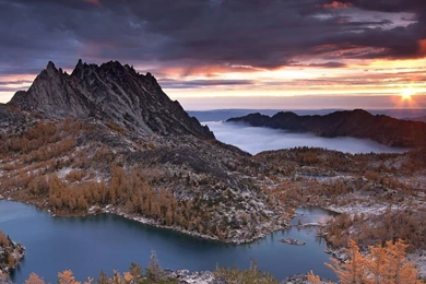 Denzel Washington Wallpapers