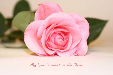 Love Quotes Wallpapers Hd Tag